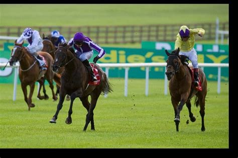 irish derby 2020 odds|2020 Dubai Duty Free Irish Derby (Group 1) .